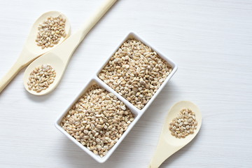 Raw barley grains, released in containers on white wooden background