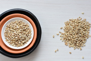 Raw barley grains, released in containers on white wooden background