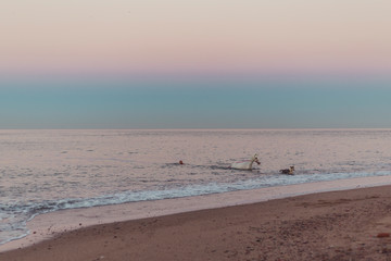 Man being pulled by a horse out of the water with a dog on the beach in Mexico