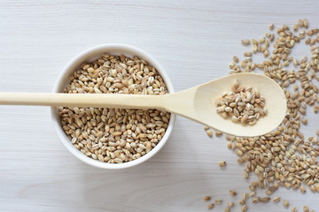 Raw barley grains, released in containers on white wooden background