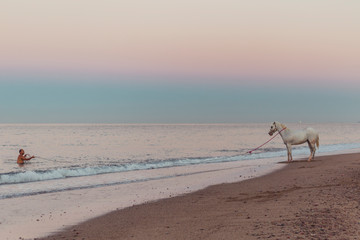 Mexican man in the water pulling a horse at sunrise