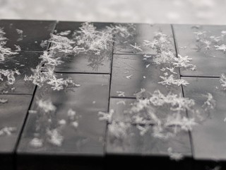 Collection of Snowflakes on Black Background