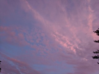 Naklejka na ściany i meble Dramatic Pink Clouds at Sunset