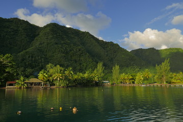 baie de Teahupoo à Tahiti