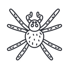 spider insect, line detail style icon