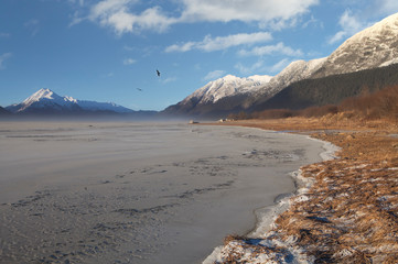 Chilkat River with birds