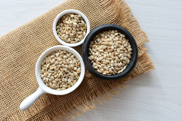 Raw barley grains, displayed in containers on textured background