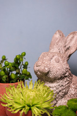 A weathered, gray rabbit statue with small clay pots filled with green flowers and berries against a a solid, light blue background, with copy space