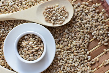 Raw barley grains, displayed in containers on textured background