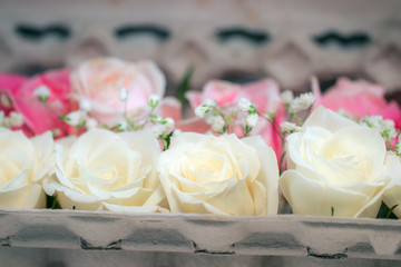 Fresh white and pink hybrid tea rose flowers and white baby's breath (Gypsophila) displayed in an egg carton