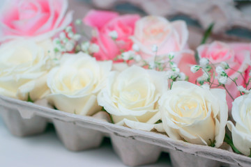 Fresh white and pink hybrid tea rose flowers and white baby's breath (Gypsophila) displayed in an egg carton