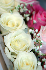 Fresh white and pink hybrid tea rose flowers and white baby's breath (Gypsophila) displayed in an egg carton