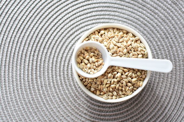 Raw barley grains, displayed in containers on textured background