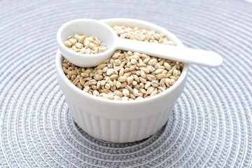 Raw barley grains, displayed in containers on textured background