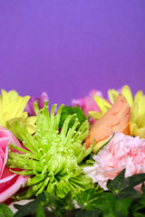 Closeup of a green spider mum, pink rose, and pink carnation flower with green ivy against a rich purple background, with copy space