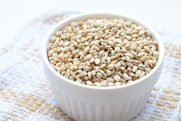 Raw barley grains, displayed in containers on textured background