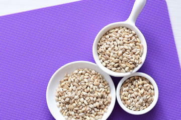 Raw barley grains, displayed in containers on textured background