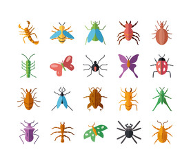 bugs and insect icon set, flat style