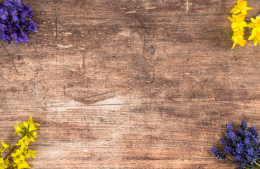 One of the first spring flowers on the wooden background, arranged in the bouquet