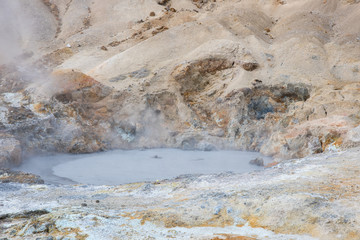 Mud pot in Seltun Geothermal area in Krysivik in Iceland