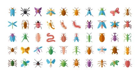 Foto op Canvas bugs and insect icon set, flat style © djvstock