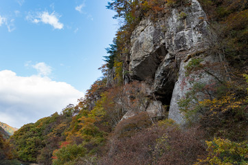 紅葉　群馬県　沼田市　利根町　吹割の滝付近