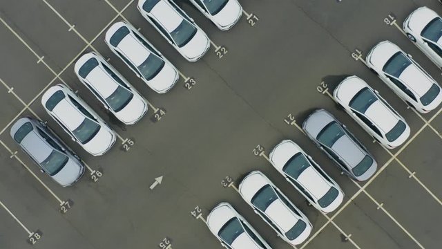 Aerial top down view of the dealership or customs terminal parking lot with a rows of new cars