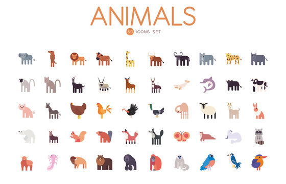 50 cute animals cartoons fill style icon set vector design