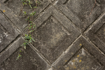 風景　背景　日本