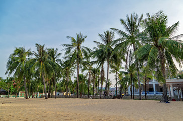 Long Beach, Phu Quoc Island, Vietnam. Nobody on the beach. Palm tree bamboo umbrellas and sun...