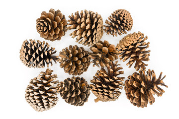 Group of pine cones isolated on white background. Pine cone is made of natural wood and famous to decorate  Christmas tree or create more Christmas atmosphere.