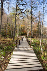 Karagöl Nature Park located in Borcka and Savsat districts of Artvin