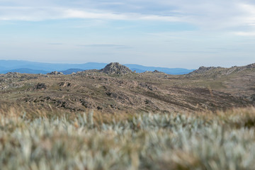 Beautiful And Moody Low Angle