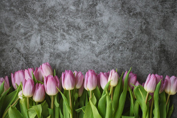 Frame made from purple fresh tulips on dark marble background. Top view flatlay, copy spase