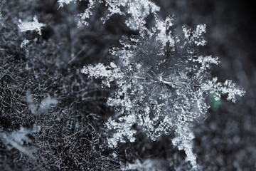 Closeup macro photo of a snowflake in winter.