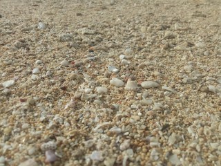 white sand beach texture. naturally formed. sand beach detail.