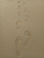Fototapeta na wymiar white sand beach texture. naturally formed. sand beach detail.