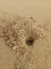 white sand beach texture. naturally formed. sand beach detail.