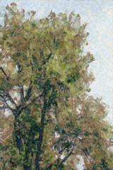 Trees and wood leggings of trees Illustrations creates an impressionist style of painting.