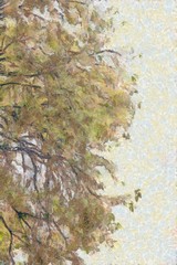 Trees and wood leggings of trees Illustrations creates an impressionist style of painting.