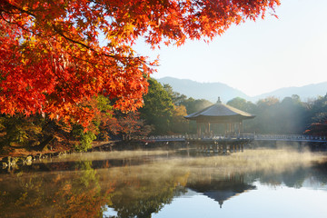 浮見堂　紅葉