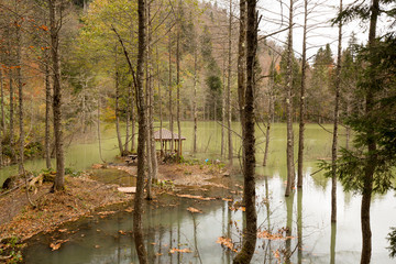 Karagöl Nature Park located in Borcka and Savsat districts of Artvin