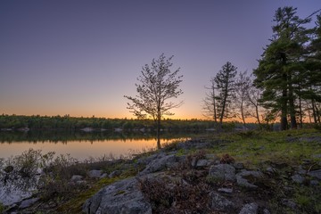 Algonquin Park Lake At Sunset.