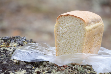Sliced loaf of white bread on the nature in camping trip.