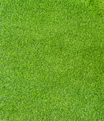 Fototapeta premium Close up of beautiful Artificial grass texture on the beach in summer time as background