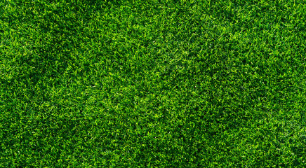 Fototapeta premium Artificial grass background