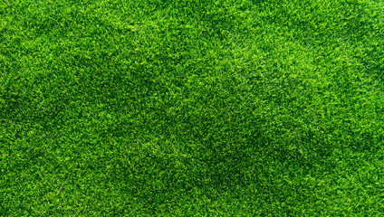 Obraz premium Artificial grass background