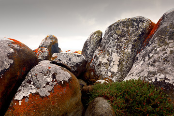 Granite boulders covered with moss