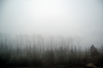 Obraz na płótnie Canvas fog