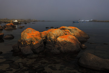 Lovely rocky bay covered with mist